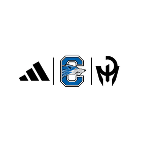 Chandler High School banner logo