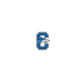 Chandler High School banner logo